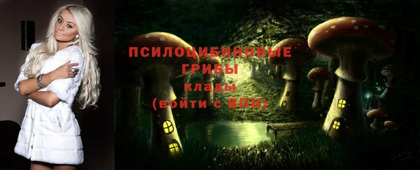 соль ск Гусев