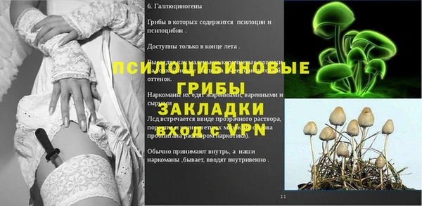 соль ск Гусев