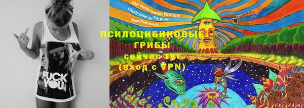каннабис Дмитровск